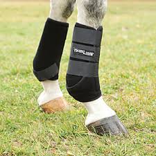 Protective Supportive Leg Equipment for Horses