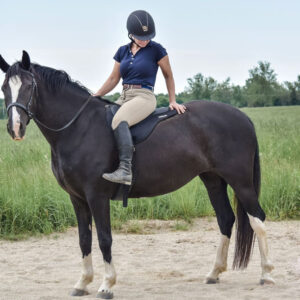 ThinLine Comfort Bareback Saddle Pad Black Lifestyle