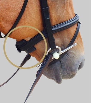ThinLine Chin, Poll and Noseband Guard - Ultimate comfort