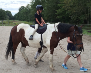 ThinLine Bareback Saddle Pad Review – Therapeutic Riding Center