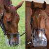 ThinLine Flexible Grazing Muzzle, No-Rub, Gentle on Teeth and Skin, Works perfectly with Waterers