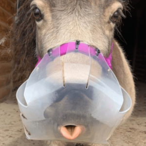grazing muzzle for ponies