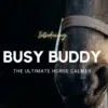 IntroducingBusyBuddy