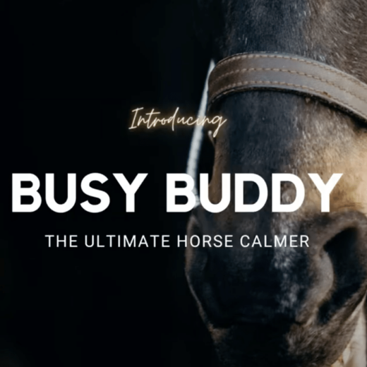IntroducingBusyBuddy